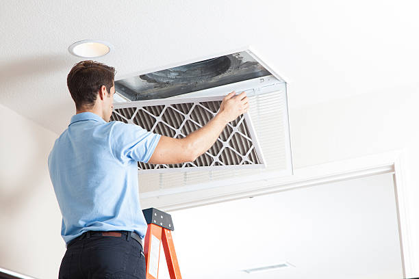 Best Air Filters and Purifiers in Washington Court House, OH